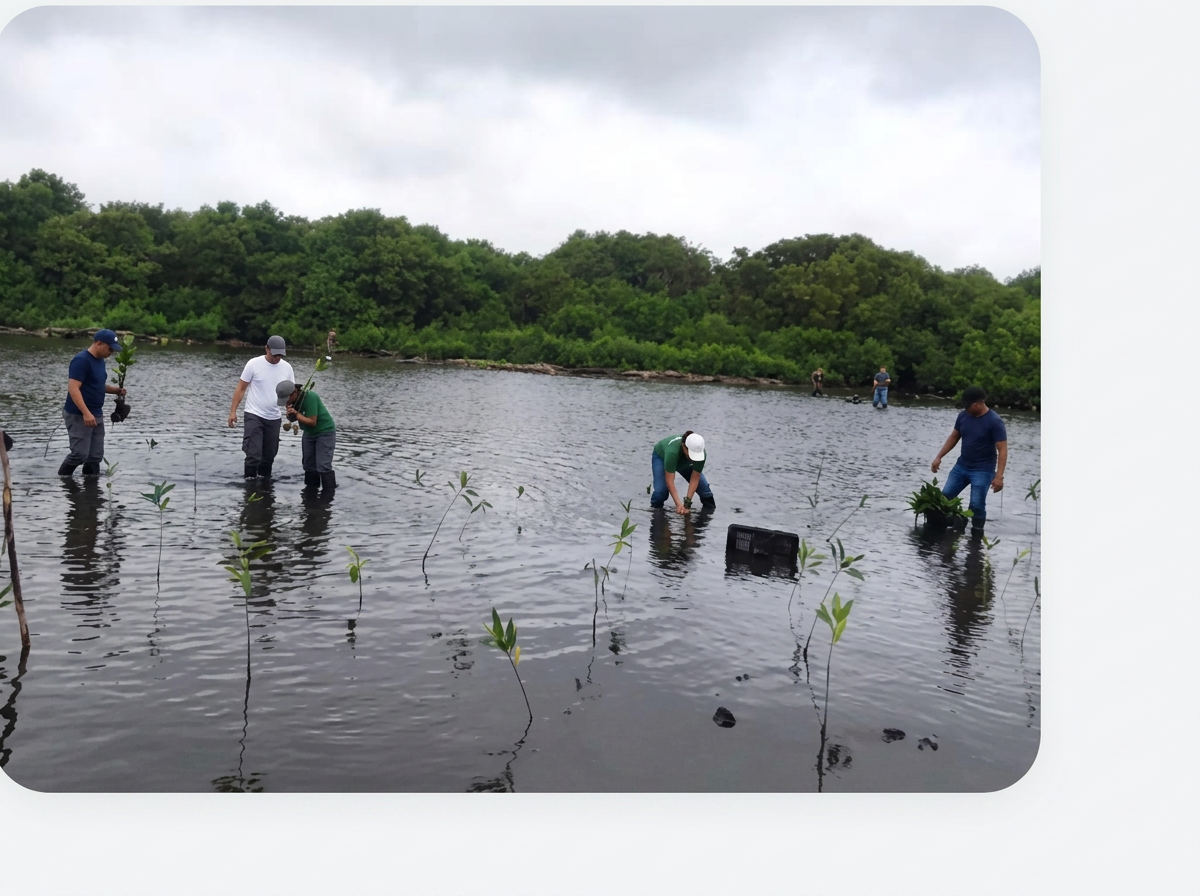 Recuperación de ecosistemas — actividad 2